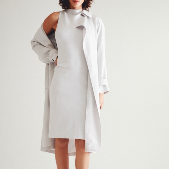 Babaton Dresses & Skirts - Aritzia babaton Matheson Dress